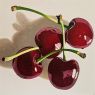 Cerezas 1